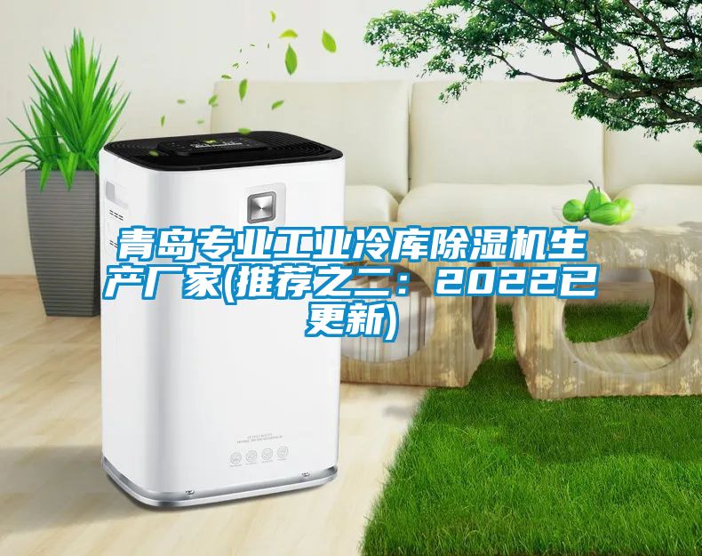 青島專業(yè)工業(yè)冷庫除濕機生產(chǎn)廠家(推薦之二:2022已更新)
