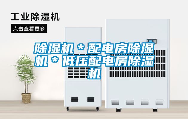除濕機(jī)*配電房除濕機(jī)*低壓配電房除濕機(jī)