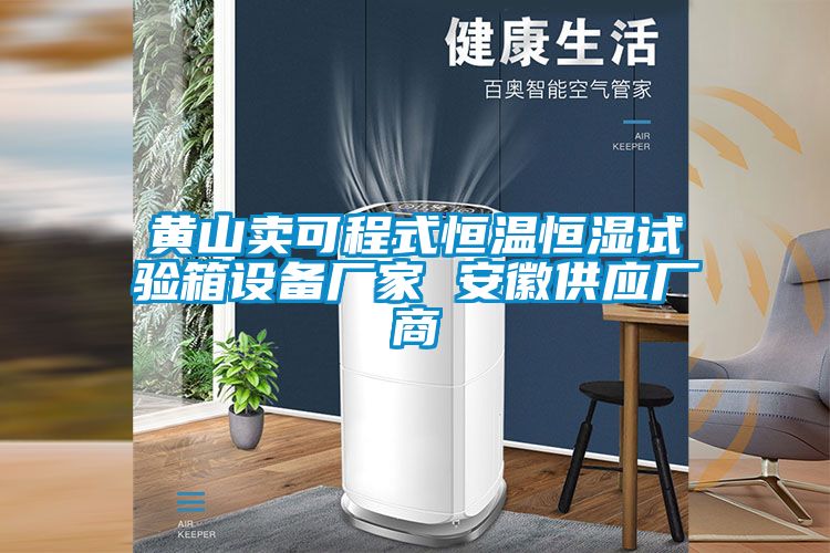 黃山賣(mài)可程式恒溫恒濕試驗(yàn)箱設(shè)備廠(chǎng)家 安徽供應(yīng)廠(chǎng)商